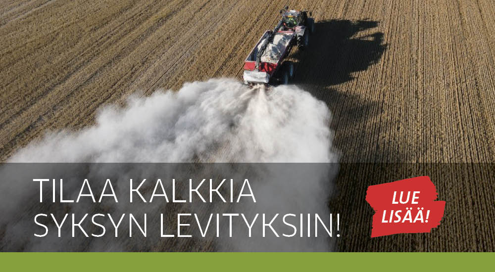 Kalkki - kalkitus